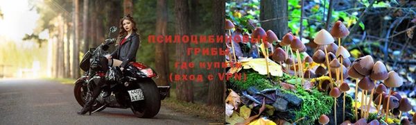 кристаллы Абаза