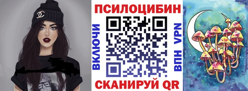 Псилоцибиновые грибы Psilocybe  Нестеровская 